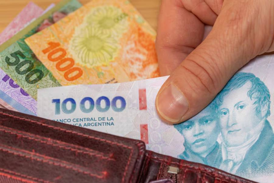 Qué es el ingreso disponible y cuánto cayó desde que asumió Milei
