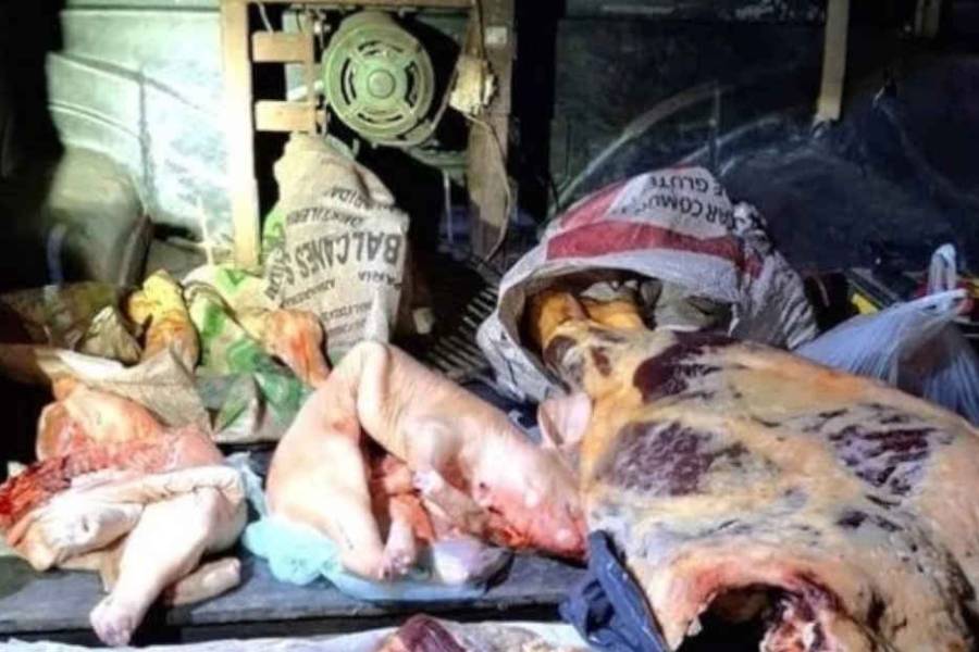 Secuestran carne en mal estado y un arma sin documentación
