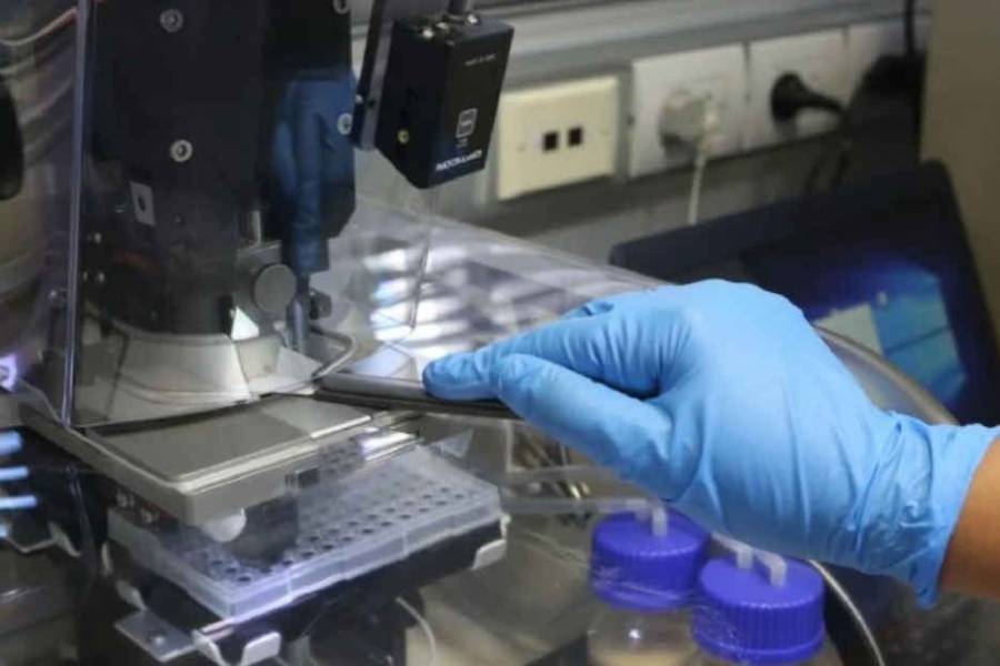 El cambio clave que aceptó la UCR para ampliar el registro de huellas genéticas