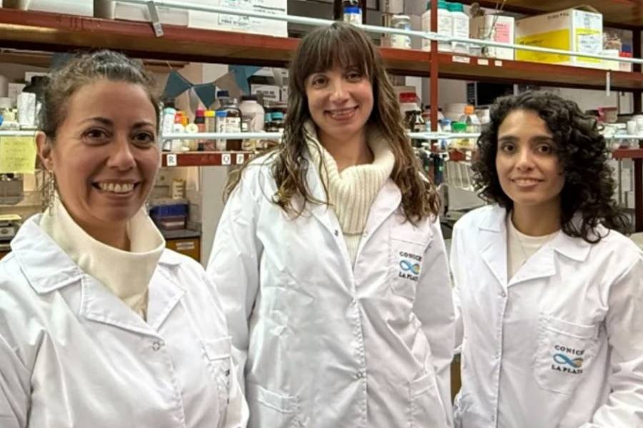 Científicas argentinas desarrollaron un apósito inteligente que acelera la cicatrización