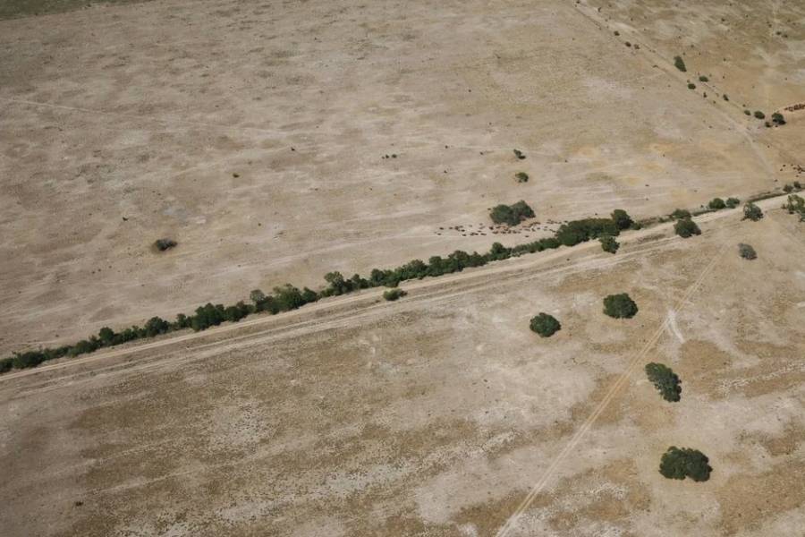 El Gobierno declaró la emergencia agropecuaria para Chaco y Santa Fe