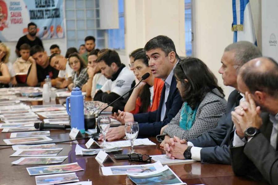 Senado: realizaron un encuentro para visibilizar e incentivar la donación pediátrica de órganos
