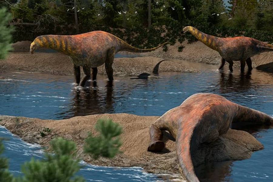 Descubren en Neuquén una nueva especie de dinosaurio que vivió hace 95 millones de años