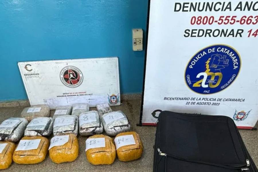 La delató el perro antidrogas: Viajaba con cocaína, marihuana y “cripy” hacia la terminal de Catamarca