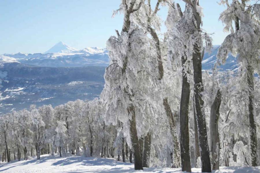 Indignación en San Martín de los Andes: denuncian tarifas abusivas y concesión polémica en Chapelco