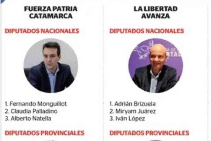 Fernando Monguillot, Fernando Navarro, Fernando Baigorri y Adrián Brizuela disputarán una banca de diputado en el Congreso