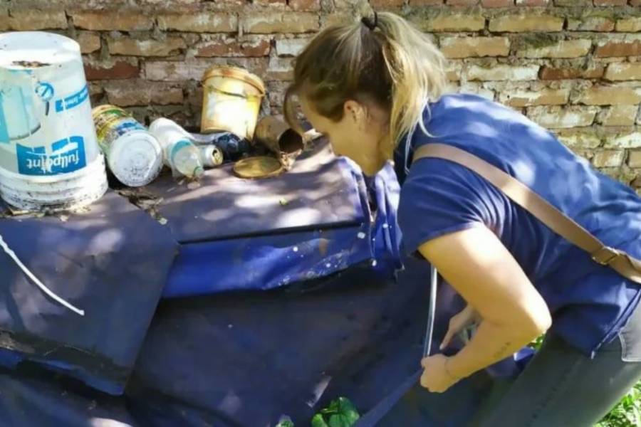 Dengue: Controles preventivos