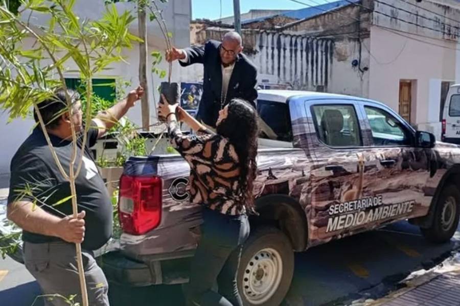 Catamarca planta futuro: 400 árboles y arbustos llegan a escuelas, clubes y plazas