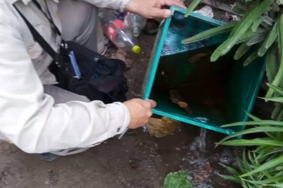 Dengue: Operativos de prevención contra el mosquito