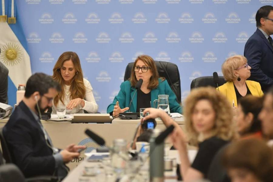 Fentanilo contaminado: la Comisión Investigadora presentó informe con recomendaciones sanitarias