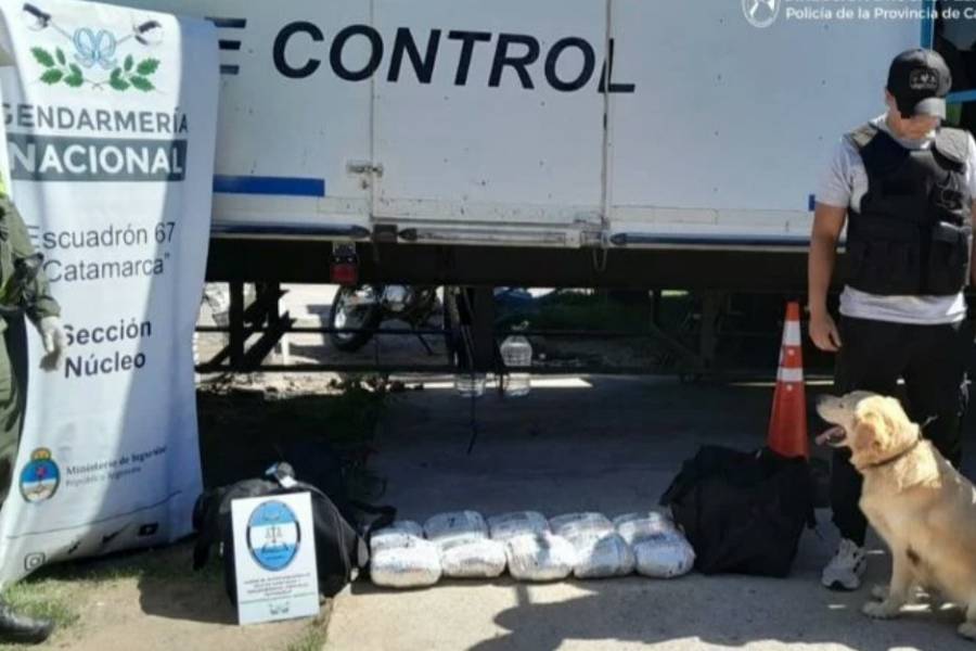 Reiteración alarmante: Secuestran casi 11 kilos de marihuana 