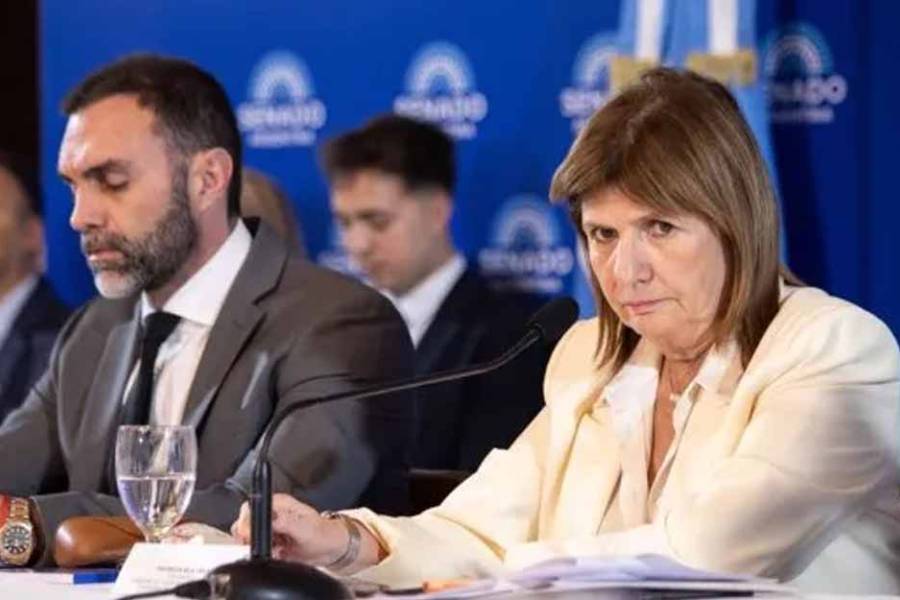 Reforma laboral: Patricia Bullrich pasó el debate para febrero con un dictamen sujeto a cambios