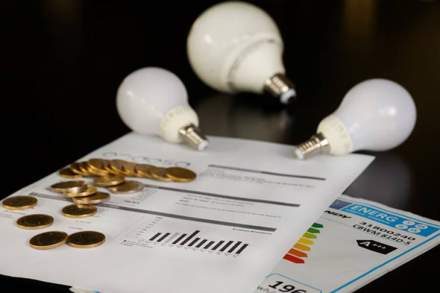 Así es el formulario que se deberá completar para mantener los subsidios energéticos