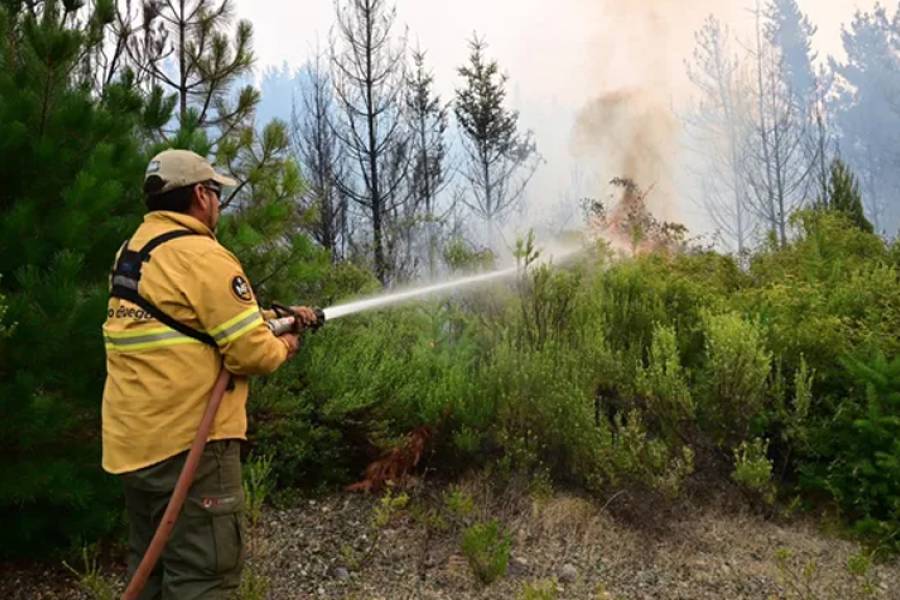Incendios en la Patagonia: cómo quedó el Parque Nacional Los Alerces