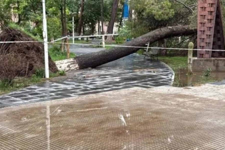 Belén declaró la emergencia climática 
