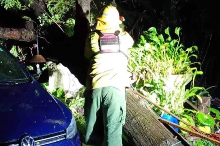 Tormentas desatadas en el Valle Central dejó calles anegadas, árboles caídos y daños en rutas