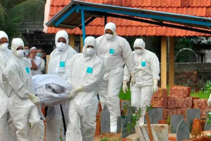 India en alerta por brote del virus Nipa: qué se sabe de la enfermedad que ya tiene dos casos confirmados