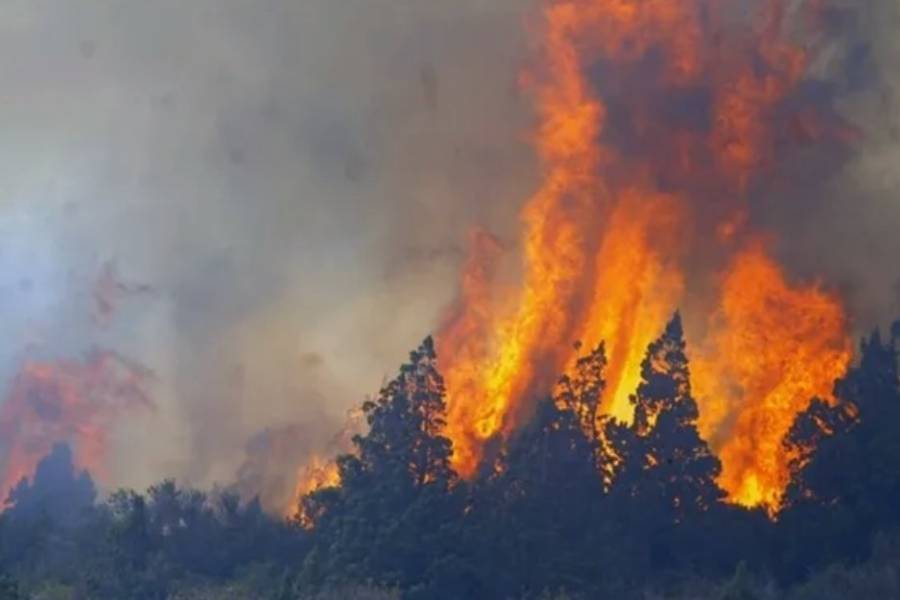 Escándalo en Cholila: denuncian que falsos voluntarios vendían las donaciones para los incendios