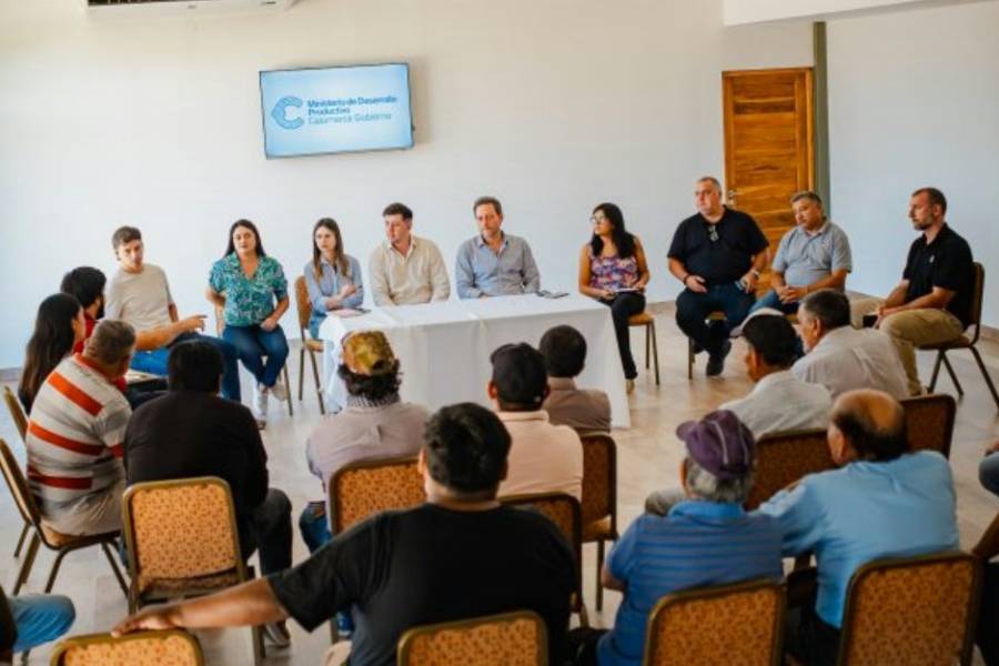 El Gobierno y productores definieron el precio de la uva para mosto en $170 por kilo