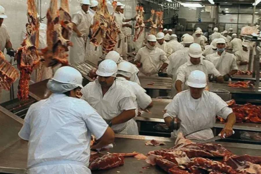 Recesión y crisis: despidos masivos en uno de los principales frigoríficos del país