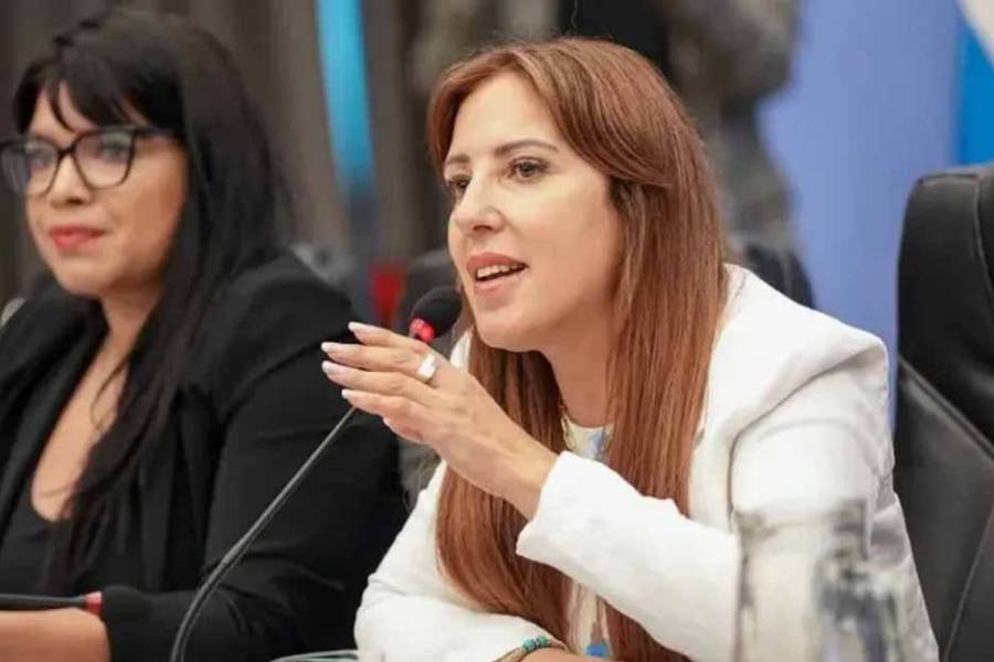 Sturzegate: diputados piden explicaciones por la contratación de Cancillería a la asociación dirigida por la esposa de Sturzenegger