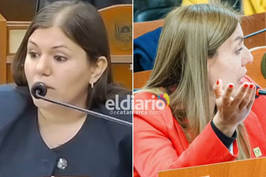 Diputadas catamarqueñas tuvieron un duro cruce por el fallo de la Justicia contra las pensiones por invalidez