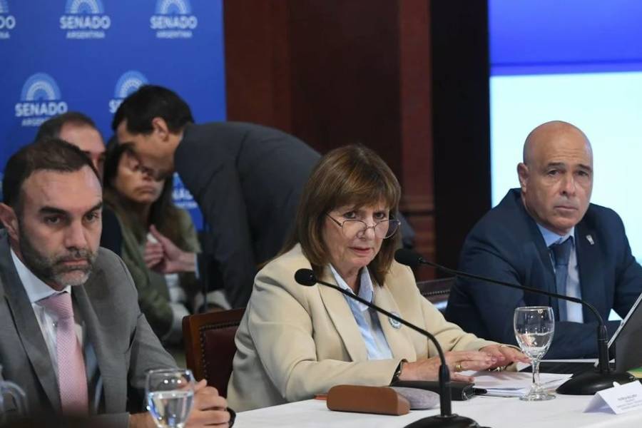 Dictamen exprés en el Senado: La Libertad Avanza quiere aprobar el viernes 27 la reforma de Milei