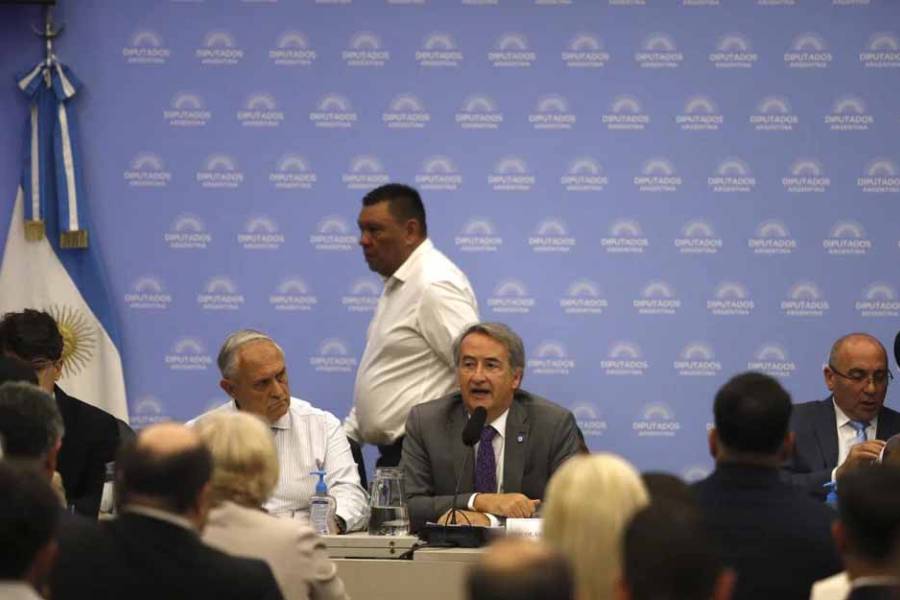 Tras una primera jornada tensa, la audiencia por la Ley de Glaciares continúa su recorrido en Diputados