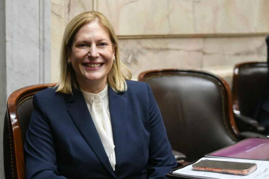 Vuelve Ficha Limpia al Congreso tras el revés del año pasado: el proyecto de Provincias Unidas