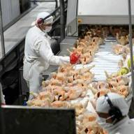 La principal avícola del país acumula salarios impagos y los trabajadores paralizan la actividad