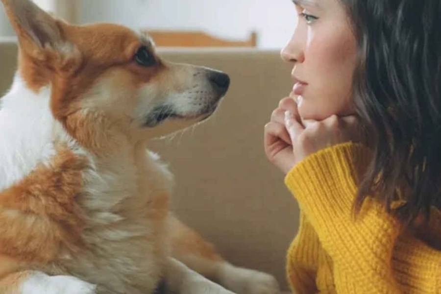 Qué significa hablarle a las mascotas como bebés y por qué funciona