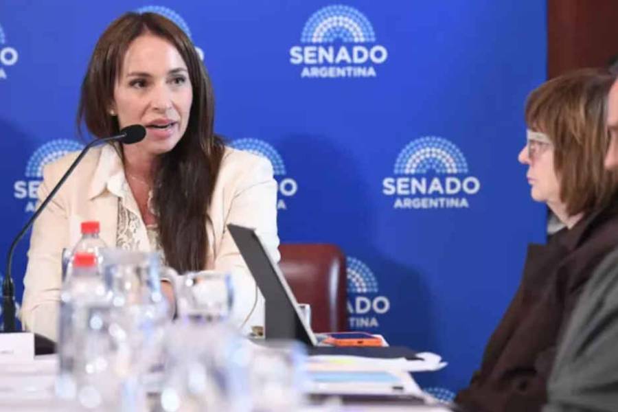 Tras el fuerte malestar interno, el Gobierno postergó el pliego de Verónica Michelli y no se tratará mañana en la sesión del Senado
