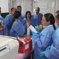 Fortalecen la vigilancia del hantavirus y otras fiebres hemorrágicas en las Américas