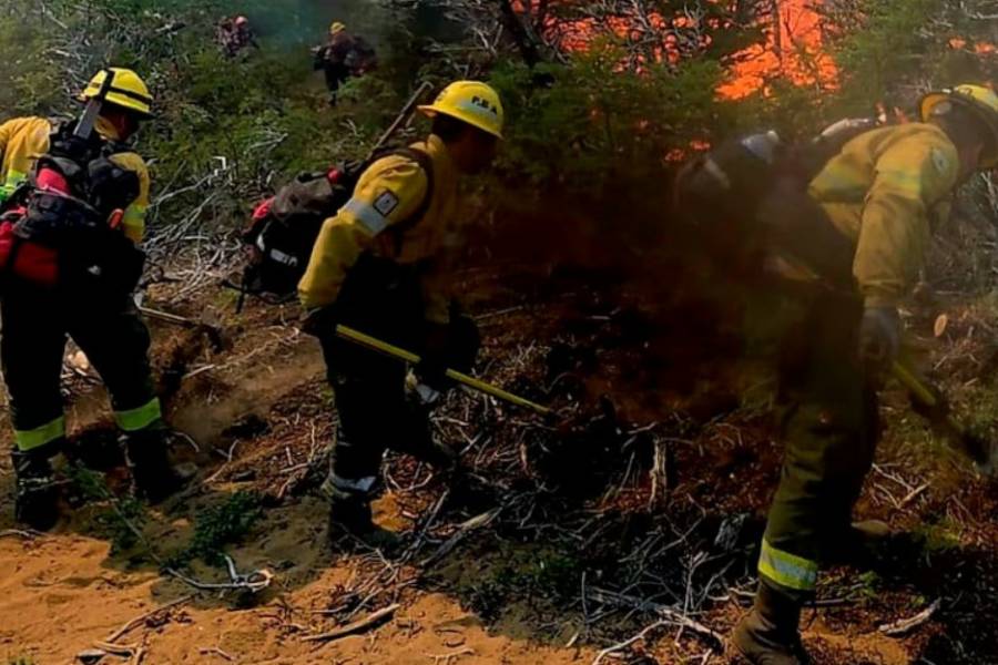 Salta: incendió forestal en Cafayate ya consumió cerca de 200 hectáreas
