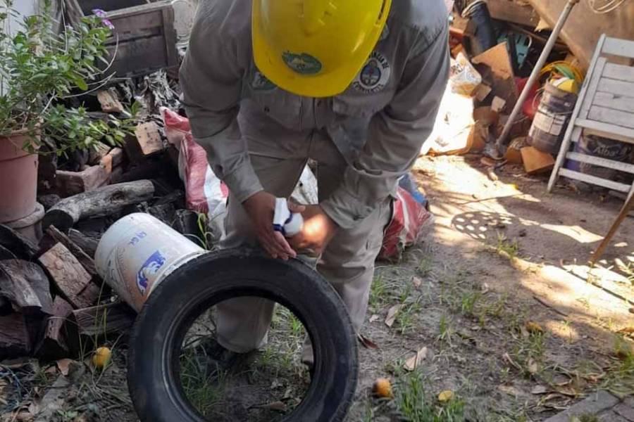 Controles preventivos para evitar la proliferación del mosquito Aedes Aegypti