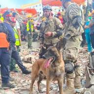 La misión humanitaria argentina rescató a dos menores de entre los escombros en Venezuela
