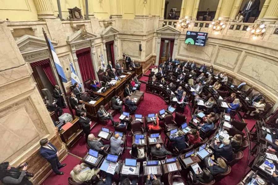 Tras la suba que llevó el salario de los senadores a $12 millones, el bloque de LLA dice que donará el aumento