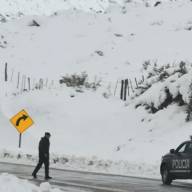 Alerta por nevadas: qué provincias estarán afectadas este sábado
