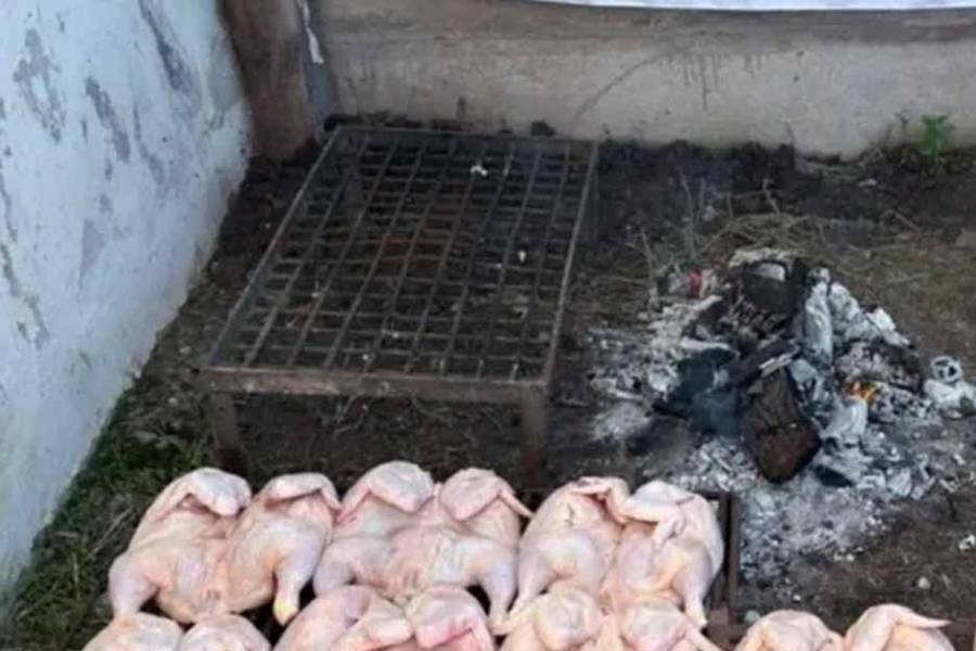 Intoxicación masiva tras evento solidario: investigan una posible salmonelosis en una pollada