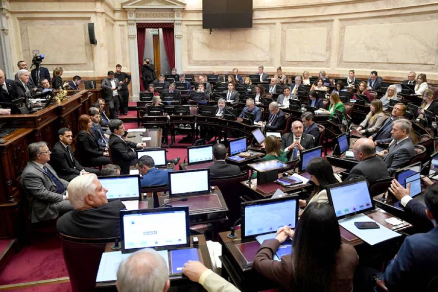 El Senado debate la Ley de inviolabilidad de la propiedad privada y se espera una sesión maratónica