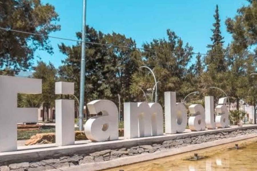 Mujer con graves heridas por la caída de un árbol